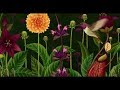 The History Of Flowers In Less Than Four Stunning Minutes