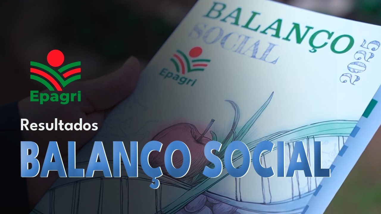 Balanço Social 2025 - Investimento que vira resultado