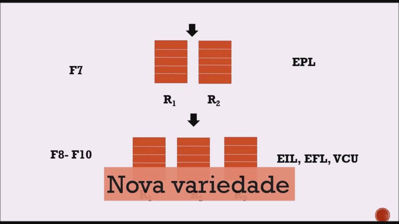 7º vídeo - Métodos de melhoramento de plantas autógamas