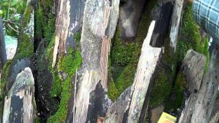 Adventurebug Congo Wild Camping