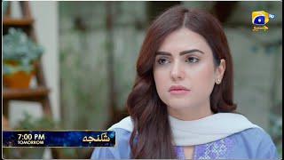 Shikanja Episode 44 Promo | Tomorrow at 7:00 PM only on Har Pal Geo