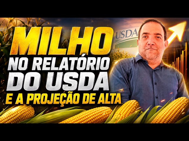 Milho no Relatório do USDA e a projeção de alta.