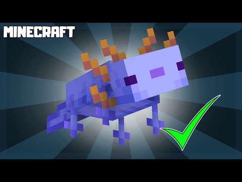 MINECRAFT | How to Get Rare BLUE Axolotl! 1.17