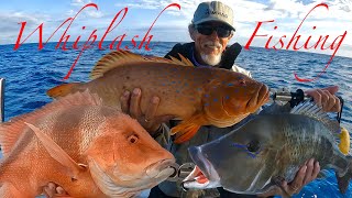 ROUGH AND RUGGED REEF FISHING - Red Emperor, Coral Trout and Sweetlip on the Bite!