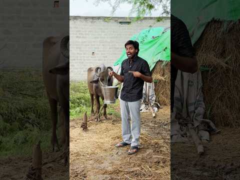 Village lo Milk😂Lastlo😱#shorts #comedy #village #charanspy #trending
