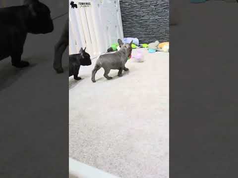 Video 2