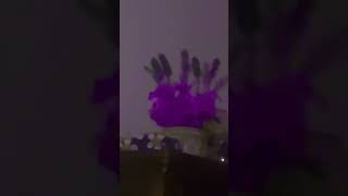 Download lagu Lialp gloop mp3