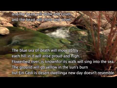 Ein Gedi video