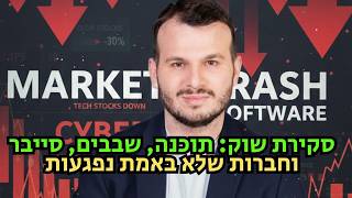 לאן הולכים מכאן? סקירה: תוכנה, סייבר, שבבים והמניות שלא באמת אמורות להיפגע