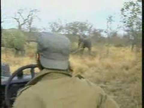 Ellie Breeding Herd Pt.4