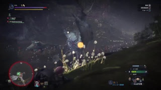 すごく下手なモンスターハンター