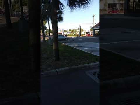 DMR news the trisexual the pathological liar the white Pig