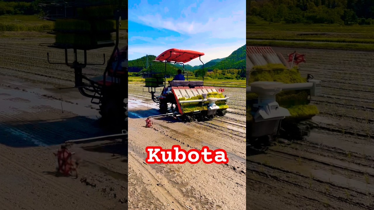 Kubota NW8S GS 田植機　田植え作業