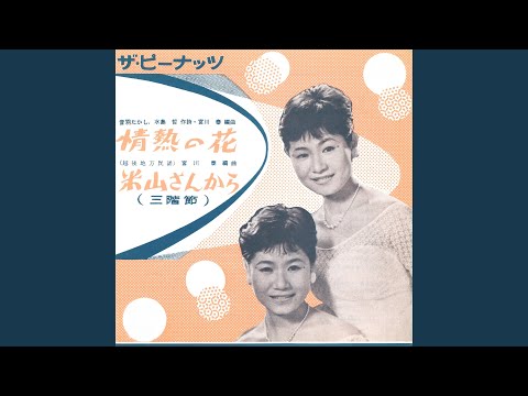 情熱の花 のサムネイル