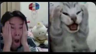 [討論] AI有可能取代Vocaloid嗎??