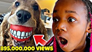 World's *MOST* Viewed YouTube Shorts! (VIRAL CLIPS)