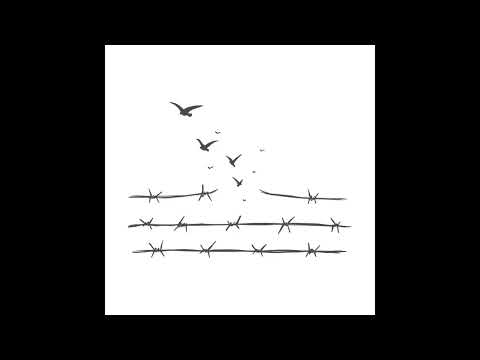 Putni 🕊️ (pied. Rafa & Sandija Fridrihsone)