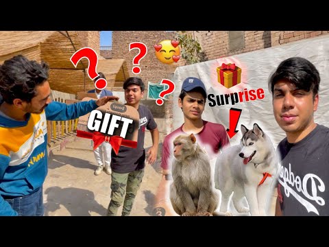 SW Pet House Wale Waleed Bhai Se Surprise Gift Mila ???? Ah Pets Vlog