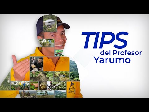 IPA La Vega en Cauca - Tips del Profesor Yarumo