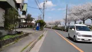 20140402 桜を見に走る