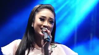 Download lagu MERPATI PUTIH - NEW PALLAPA - ANISAH RAHMA (official live music) mp3