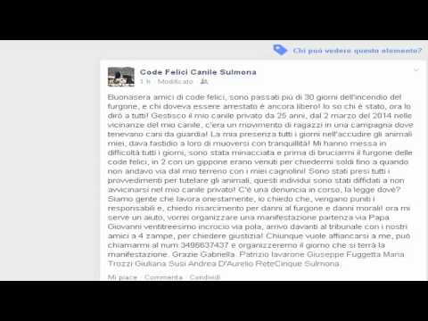 ONDA TG 27.12.2014 - INCENDIO FURGONE CANILE   GABRIELLA TUNNO PARLA DEI RESPONSABILI