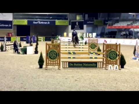 DIAMANT DE SEMILLY x CASSINI zang stallion  2012