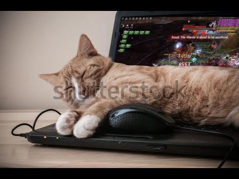 For when you suck at dps but wanna learn the raid wings | Slightly-Less-Than-Afk Herald | 29,388