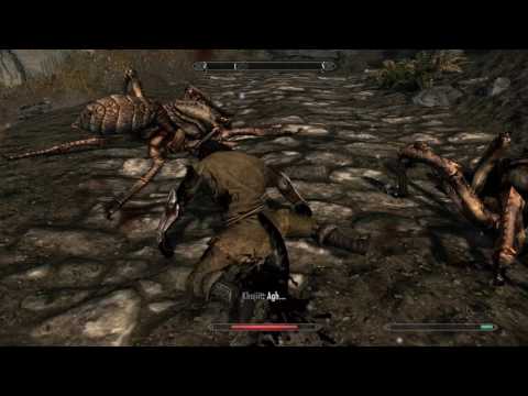 Let's Play Skyrim Part 106 (The Leader With a Long Grey Beard)