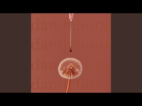 Dandelions - Garvan Lambert