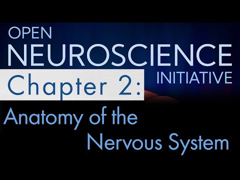 "Anatomy of the Nervous System" Open Neuroscience Initiative Chapter 2 (Free Neuroscience audiobook)