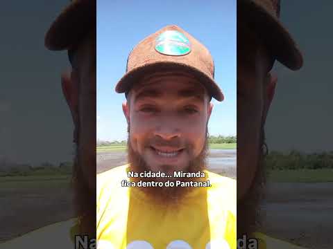 Dá pra ver o Pantanal na cidade? 📍 Miranda/MS