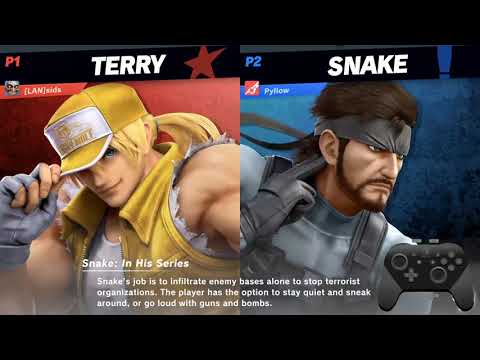 2020 11 29 Terry vs Snake / Rosalina