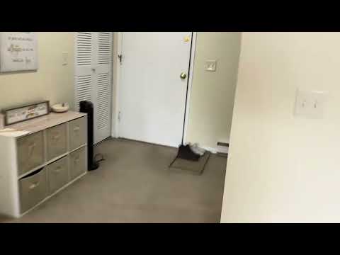 66 Mayflower Ave #7 - Video 7 of 7