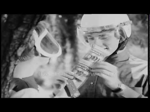 Streets Honey Malt Ice Cream - Australian 1960s Adverts Commercials - TDA Archive findaclip.co.uk