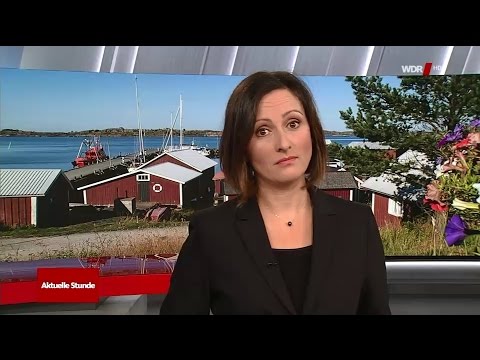 Aktuelle Stunde - Grundeinkommen