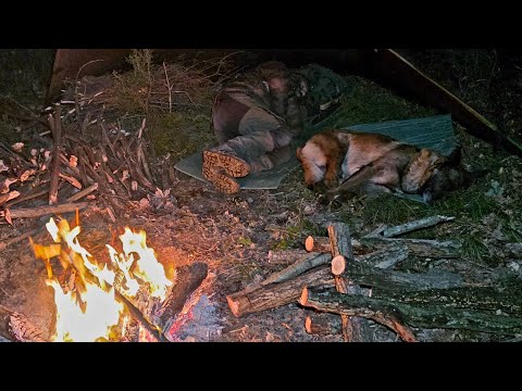SOLO Tarp Camping in Heavy Rain – Storm Survival Night with My Dog
