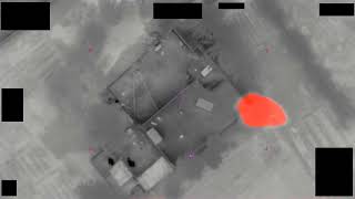 DOD 111689005 
