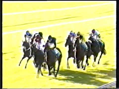 1999 - Curragh - C.L. Weld Park Stakes (G3) - Theoretically