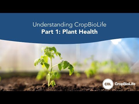 Understanding CropBioLife Part 1: Plant Health