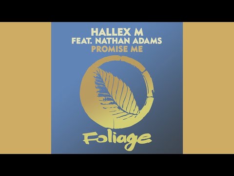 Hallex M Feat.Nathan Adams - Promise Me (Vocal Mix)