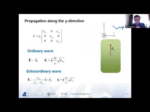 MetaMAT’s 17th webinar S2 - 22.02.2022 - Presentation - Mário Silveirinha