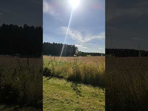 Summer in Elgin Scotland looks like this 7/9/2023.  27 degrees Roasted Alive for a Scotsman