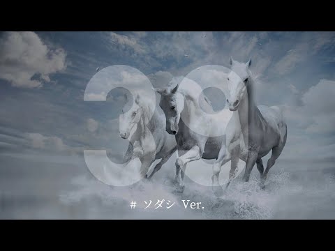 2023.05.14   白毛　ソダシ　東京11R   ヴィクトリアマイル