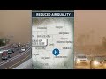 Warning As Deadly Fungal Storms Sweep America With Toxic Dust Carrying Disease