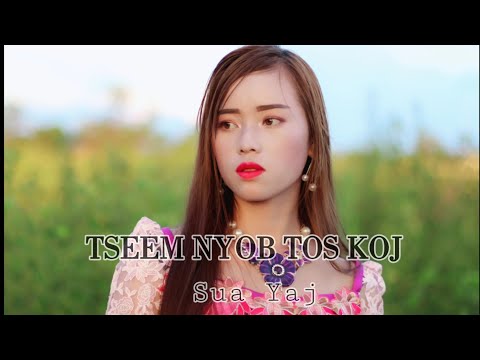 TSEEM NYOB TOS KOJ (BY:Sua Yaj)