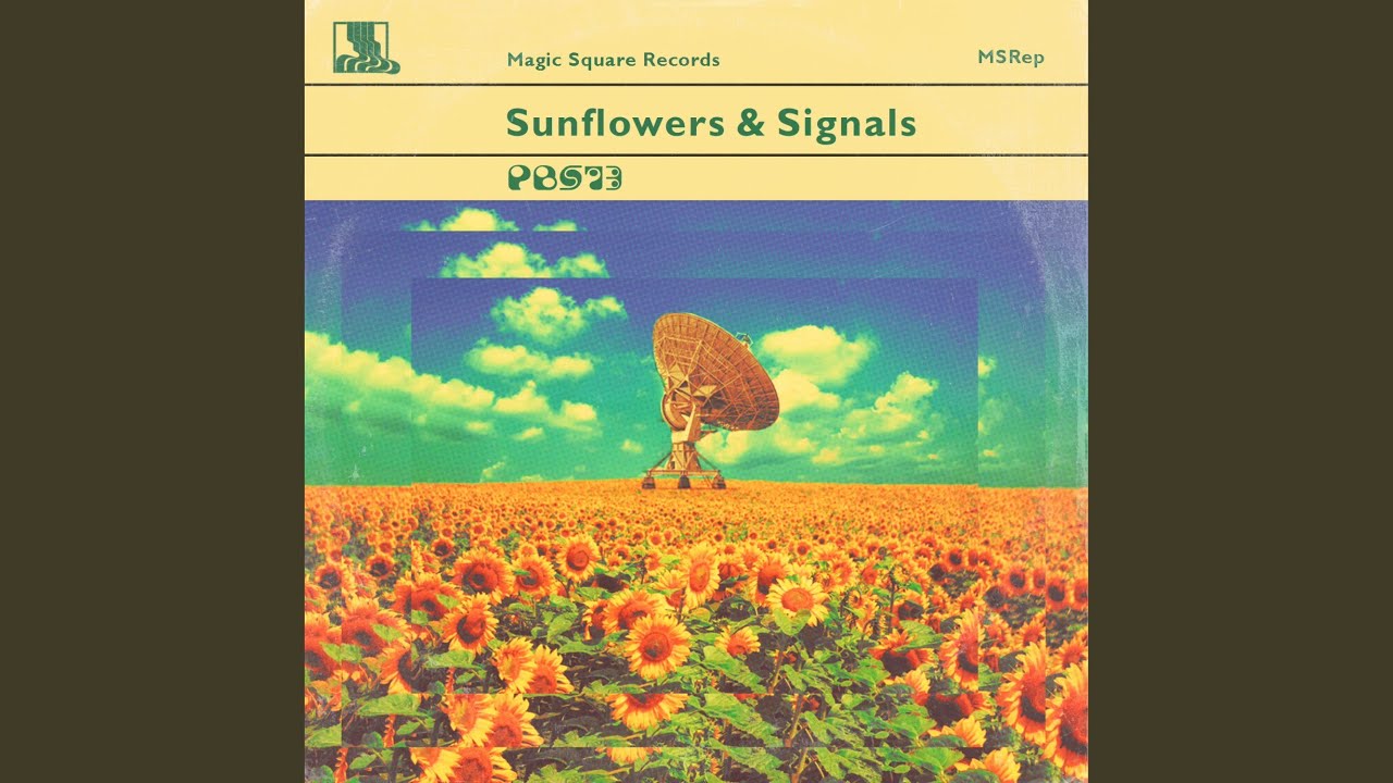 Sunflowers and Signals