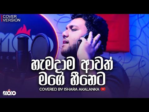 Hamadama awath mage heeneta I හැමදාම ආවත් මගේ හීනෙට I Covered by Ishara Akalanka