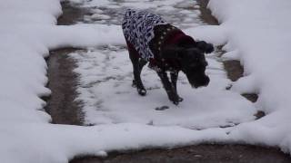 First Day of Spring 2010