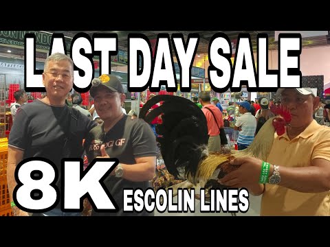 IGF LAST DAY SALE NG TAXMAN GAMEFARM GREEN COUNTRY GAMEFARM AT SUPER NATIVE GAMEFARM